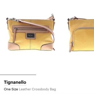 Tignanello crossbody purse